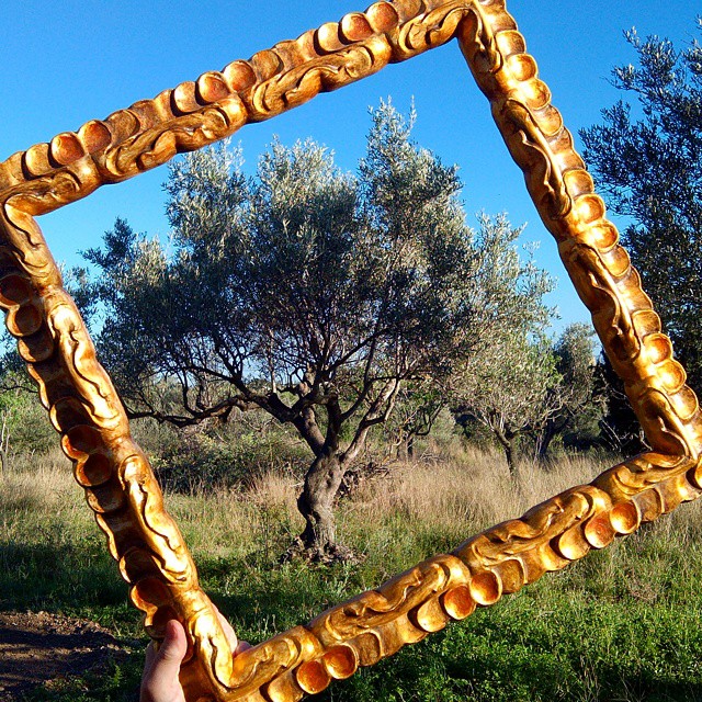 El #olivo es como una #obradearte de la #naturaleza Bien se merece este #marco