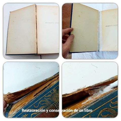 Proceso de restauración de un libro en mal estado - Esteve Enmarcadores