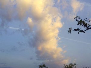 Nubes al amanecer