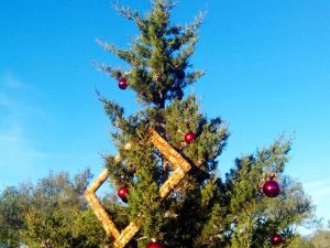 Árboles de navidad con marco.