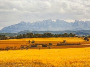 Montserrat Fotografía impresa sobre tela