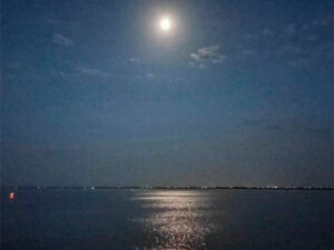 Naturaleza y su Arte Luna Mar Reflejos